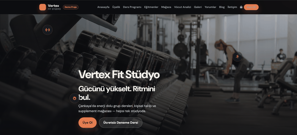 Vertex Fit Stüdyo demo çalışması anasayfa görünümü